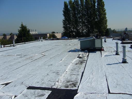 roof3.JPG